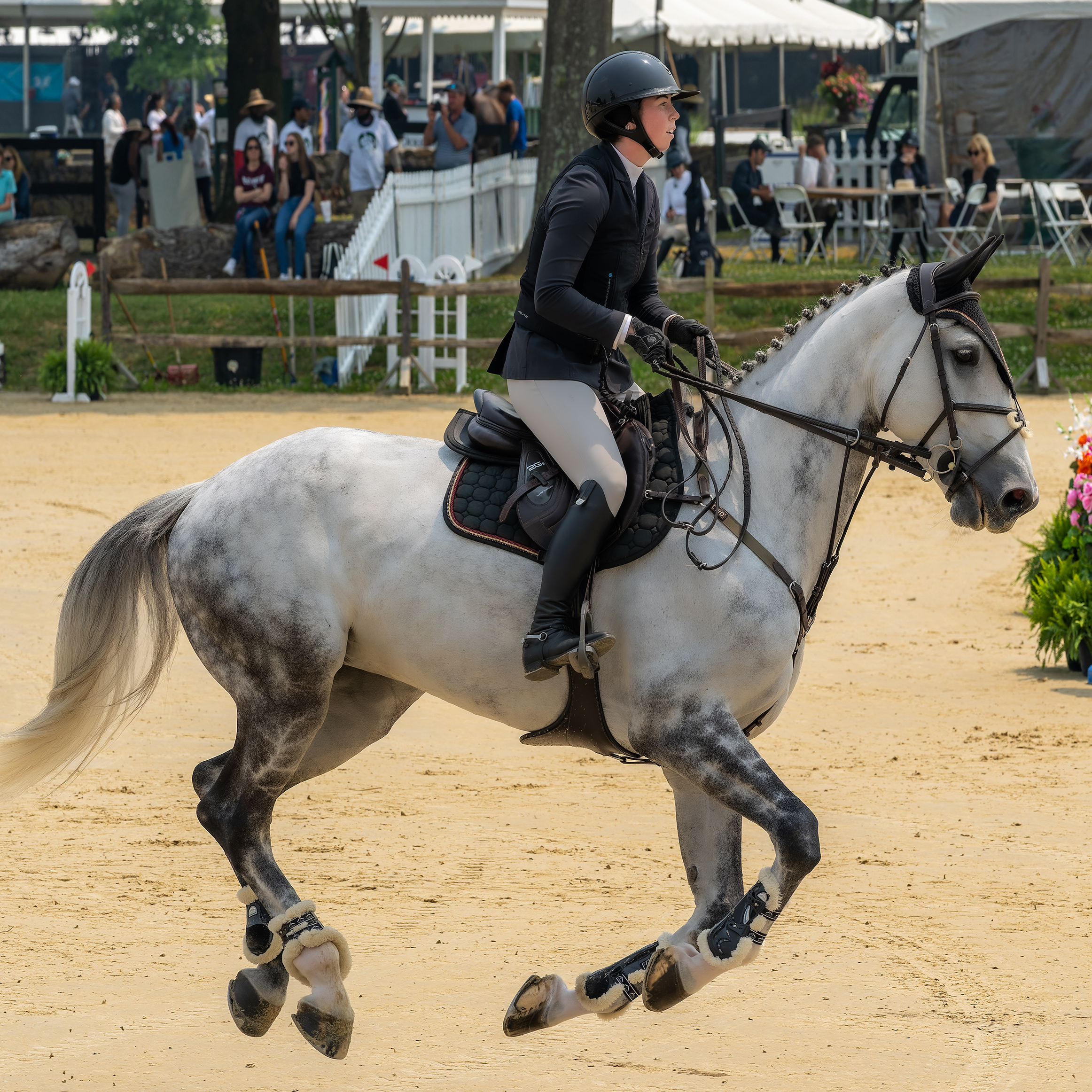 Equestrian